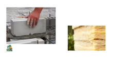 plaster vs mineral